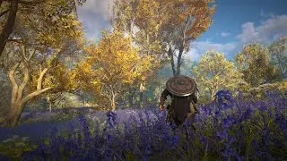 Assassin’s Creed Valhalla | Xbox Series X (Performance Mode)