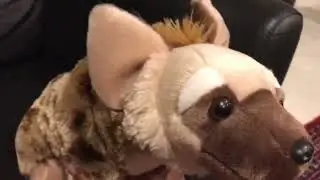 The Lion King: Plush Edition part 7c