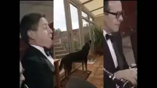Dog Howls Rhapsody in Blue