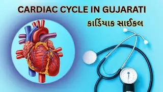 Cardiac Cycle | Gujarati | કાર્ડિયાક સાઈકલ ગુજરાતી માં
