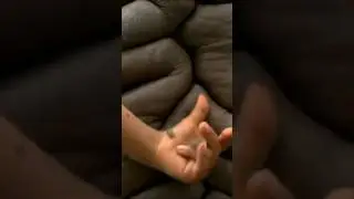 "Turtle Boy"
