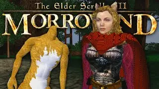 Morrowind's Weirdest Mod