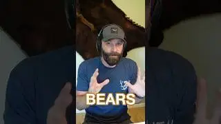 Finding WHERE FALL BEARS EAT #Shorts