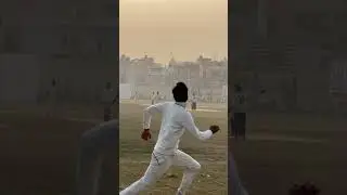 Hitting out of the park | 