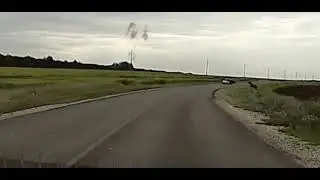 лоси