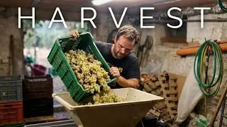 from the Mountains to our Homestead making White Wine