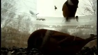 Мои Друзья:)