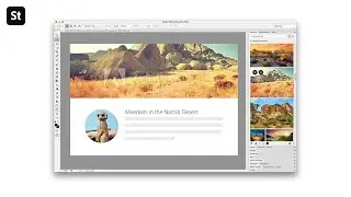 Adobe Stock meer dan een fotobibliotheek
