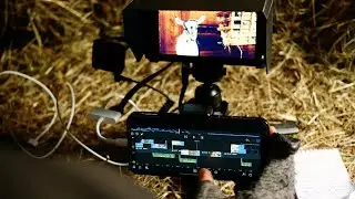 Field Testing Ep. 4: This mobile editing challenge proves you can produce great video anywhere