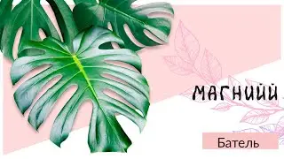 Магний от компании Батэль