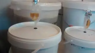 Airlock en distintas fases de la fermentación de una cerveza artesanal