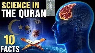 SCIENCE IN THE QURAN |Easy study by Mohsin Mustafa