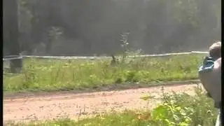 Mad Croc Rally Estonia 2010.