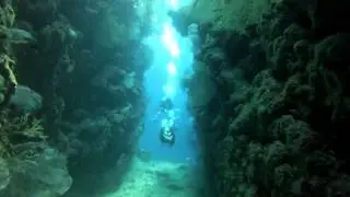 Diving Roatan, Occupy CocoView with Skin-n-Scuba