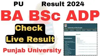 Result Check 2024 ADA ADS ADP BA BSc Exams 2024 PU | Punjab University Result 2024