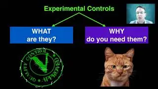 Controlled Variables and Experimental Controls