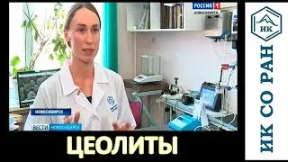 Новосибирские ученые разработали катализаторы на основе цеолита