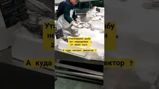 METRO Cash and Carry утилизируем некачественную рыбную продукцию 27 июля
