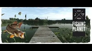 Fishing planet играю на озере Эмеральд (гайд по судаку и щуки)