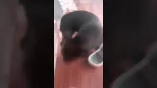 #shortsyoutube