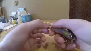 Посылка с AliExpress , С бюджетным рыболовным  воблером