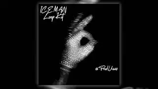 [FREE] | (15+) Drake Loop Kit 2026 - 'ICEMAN' (RnB, Soul, Partynexdoor, Central Cee, Vintage)