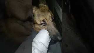 ночная прогулка #рекомендации