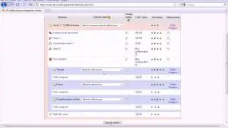 Uso de categorias en calificacion - moodle