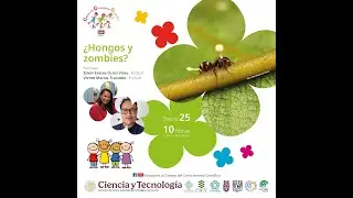 ¿𝗛𝗼𝗻𝗴𝗼𝘀 y 𝘇𝗼𝗺𝗯𝗶𝗲𝘀? 𝗘𝗻𝘁𝗼𝗺𝗼𝗽𝗮𝘁ó𝗴𝗲𝗻𝗼𝘀 𝗾𝘂𝗲 𝗰𝗼𝗻𝘁𝗿𝗼𝗹𝗮𝗻 𝗮 𝘀𝘂𝘀 𝗵𝘂é𝘀𝗽𝗲𝗱𝗲𝘀.