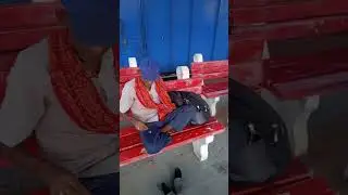 Mismanagement of Bariarpur Station Platform 2