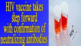 HIV vaccine takes step forward with confirmation of neutralizing antibodies