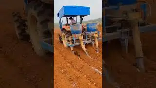 Full Video On Pineapple Farming Techniques 