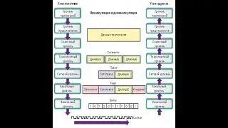 Канальный уровень OSI
