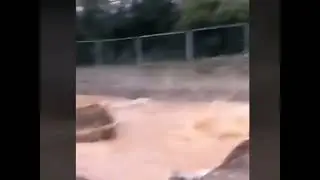 bazén
