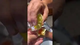 Сырая креветка с красной икрой😋