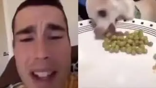 Lil Bruv no peas! 4:20h loop