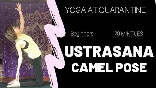 70 Minutes Beginners Ustrasana Camel Pose | Zoom Yoga Class at Quarantine | Young Yoga with Sylvia