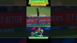 Jansen gets Abdullah Shafique's Wicket #marcojansen  #abdullahshafique #WC2023 #WorldCup #PAKvSA
