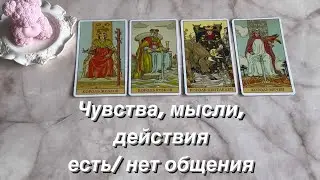 ЧУВСТВА, МЫСЛИ, ДЕЙСТВИЯ ( есть/нет общения) | 4 КОРОЛЯ