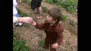 Not enought sun| Fruit crops at risk | Fruit picking | Surrey | TN-88-061-044