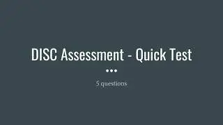 DISC Test Example (short): Understanding Personal DISC type