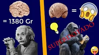 ¡cosas CURIOSAS que NO sabías! #2