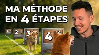 Comment j'ai réussi le rappel avec mon Shiba : ma MÉTHODE en 4 étapes