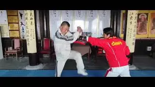 #youtubeshorts #youtube #kungfuwushu #kungfu #wushu #martialarts