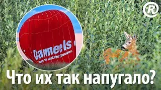 Что их всех так напугало? ОСТОРОЖНО: АДСКАЯ МУЗЫКА!!!