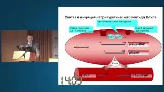 "Роль мониторинга центральной гемодинамики в дифференциальной диагностике и оптимизации лечения КС"