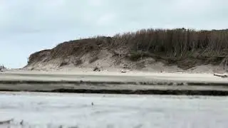 Incredible 23-Second Moment You Need to See