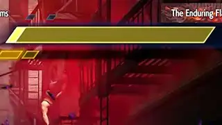 MAX DAMAGE