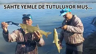ÖNCE KAYBOLDUK SONRA DEVLERİN ARASINA DÜŞTÜK.  NE TUTTUĞUMUZU BİZDE SONRA ÖĞRENDİK SİRAZ BALIĞI AVI