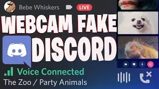 Usando Webcam Falsa no Discord